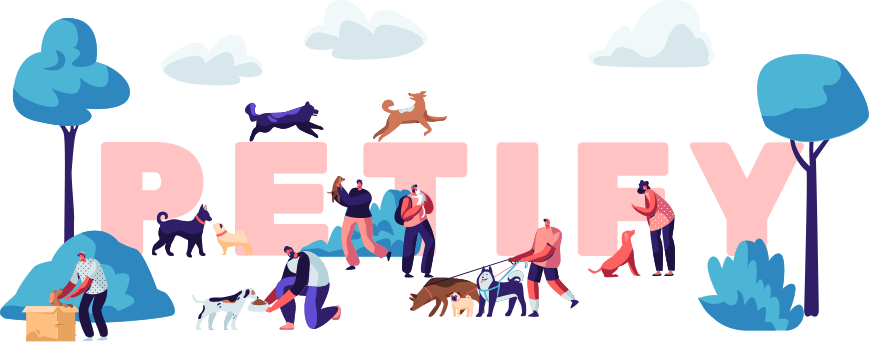 petify logo tasarım